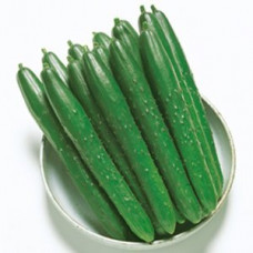 CUCUMBER JAPANESE (KG)
