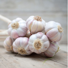 GARLIC WHOLE (KG)