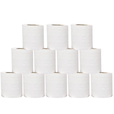 TOILET ROLL TISSUE SMALL (100 ROLLS X BDL)