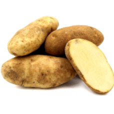 RUSSET POTATO (KG) 