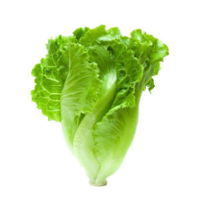 LETTUCE ROMAINE BABY (KG)