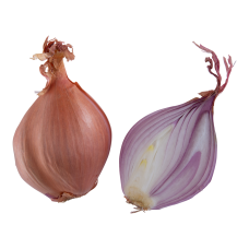 SHALLOT (KG)