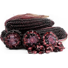 PURPLE CORN (NOS)