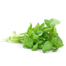 SWEET BASIL 50G X PKT